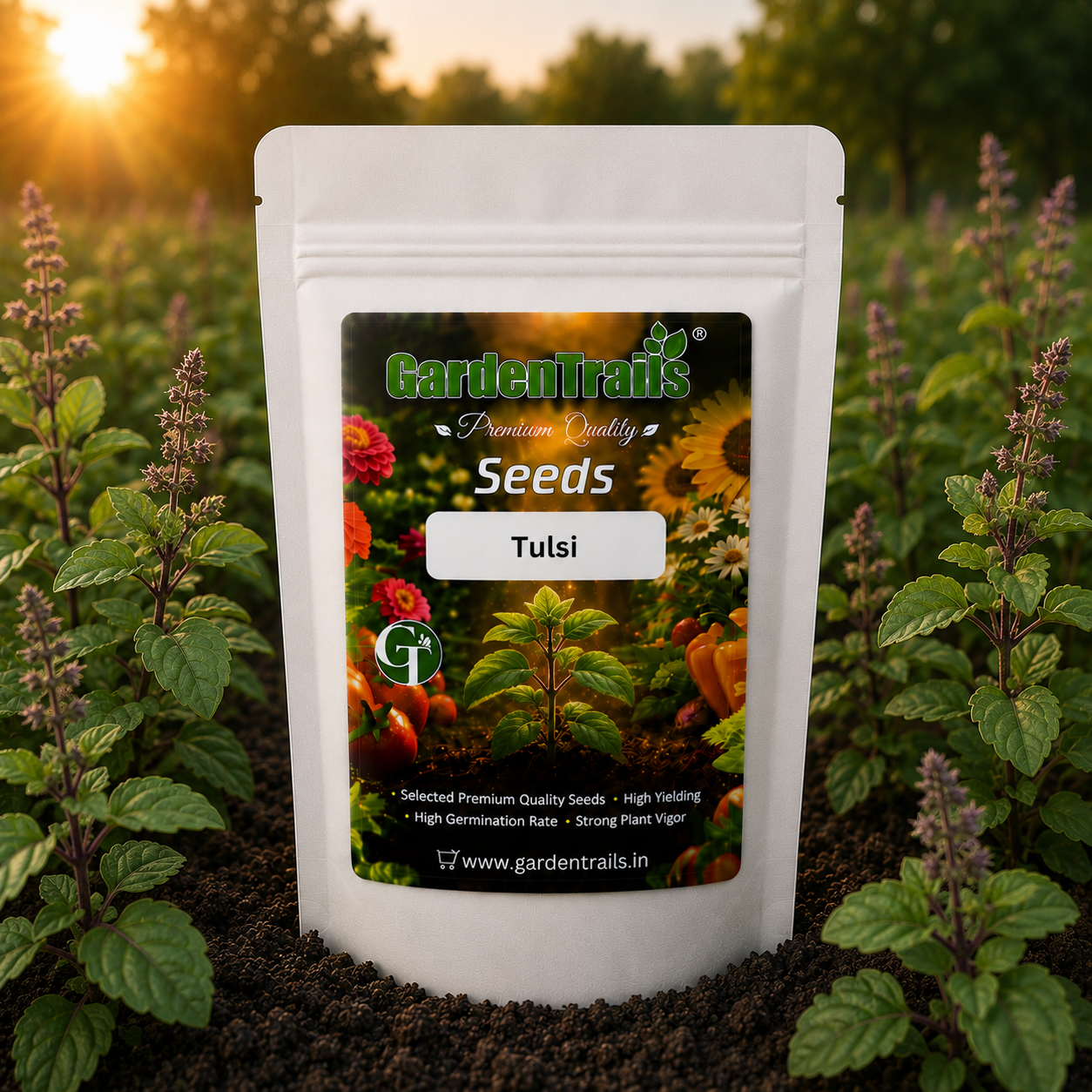GardenTrails Tulsi Seeds - Holy Basil Seeds