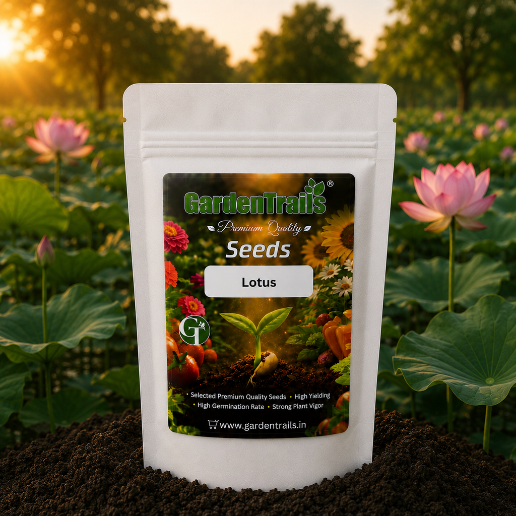 GardenTrails Lotus Flower Seeds