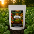 GardenTrails Palak Seeds for Home Gardening – High Germination Spinach Seeds