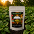 GardenTrails Green Amaranth / Pacha Thandu Keerai / Chaulai Spinach