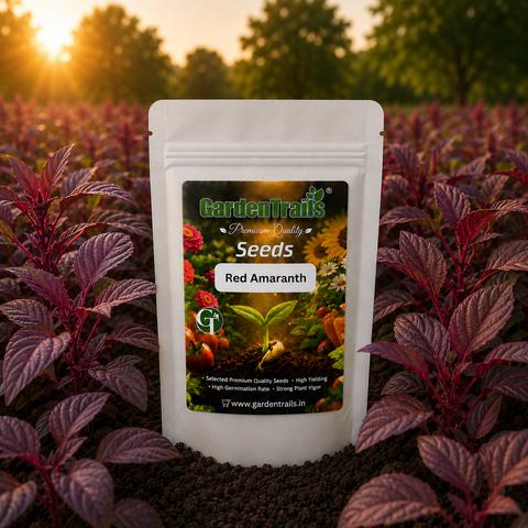 GardenTrails Red Amaranth / Sigappu Thandu Keerai / Lal Saag Spinach Seeds