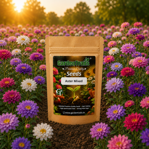 GardenTrails Aster Flowers Mixed Seeds