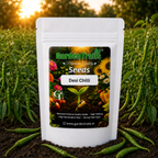 GardenTrails Desi Green Chilli