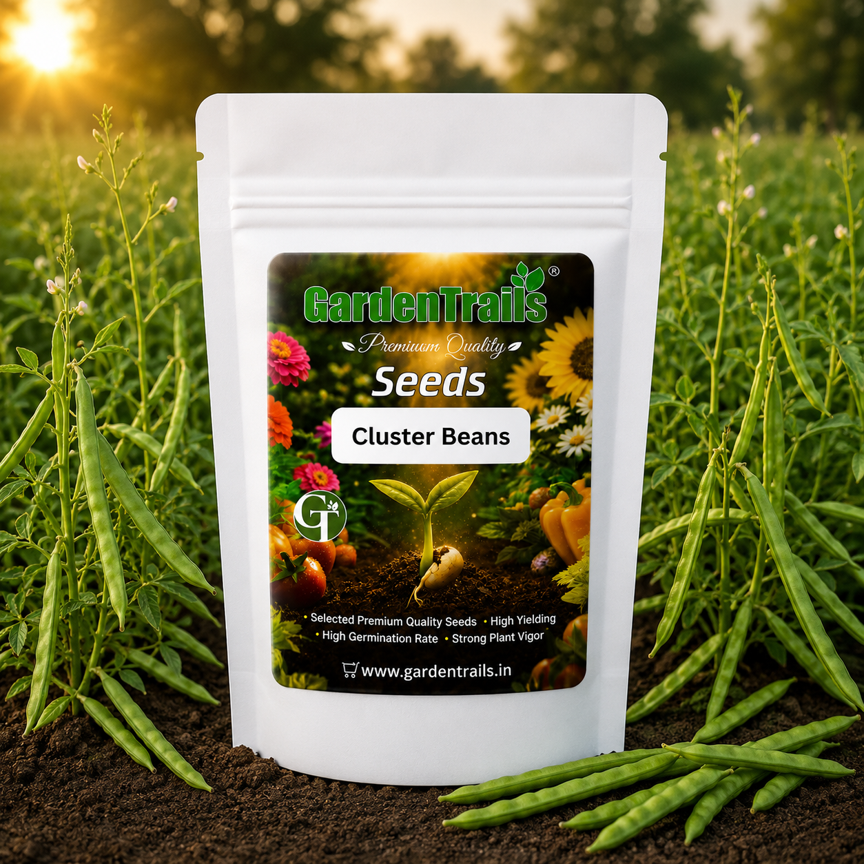 GardenTrails Cluster Beans Seeds