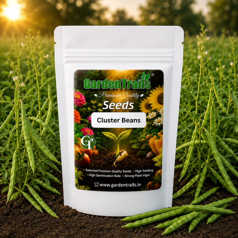 GardenTrails Cluster Beans Seeds