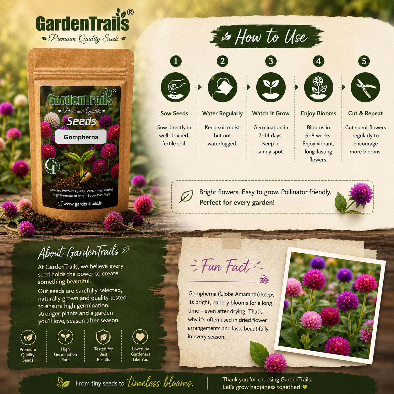 GardenTrails Gomphrena Seeds – Premium Mixed Color Globe Amaranth Flower Seeds
