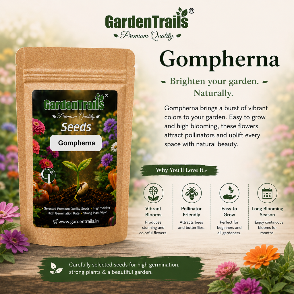 GardenTrails Gomphrena Seeds – Premium Mixed Color Globe Amaranth Flower Seeds