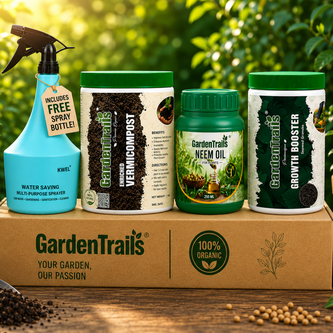 Indoor Plant Recovery Kit