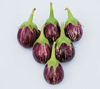 GardenTrails Hybrid Purple Round Brinjal F1 Seeds for Home Gardening – High Germination Seeds