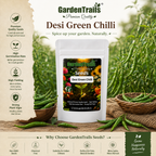 GardenTrails Desi Green Chilli