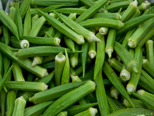 GardenTrails Lady Finger Seeds for Home Gardening – High Germination Okra Seeds