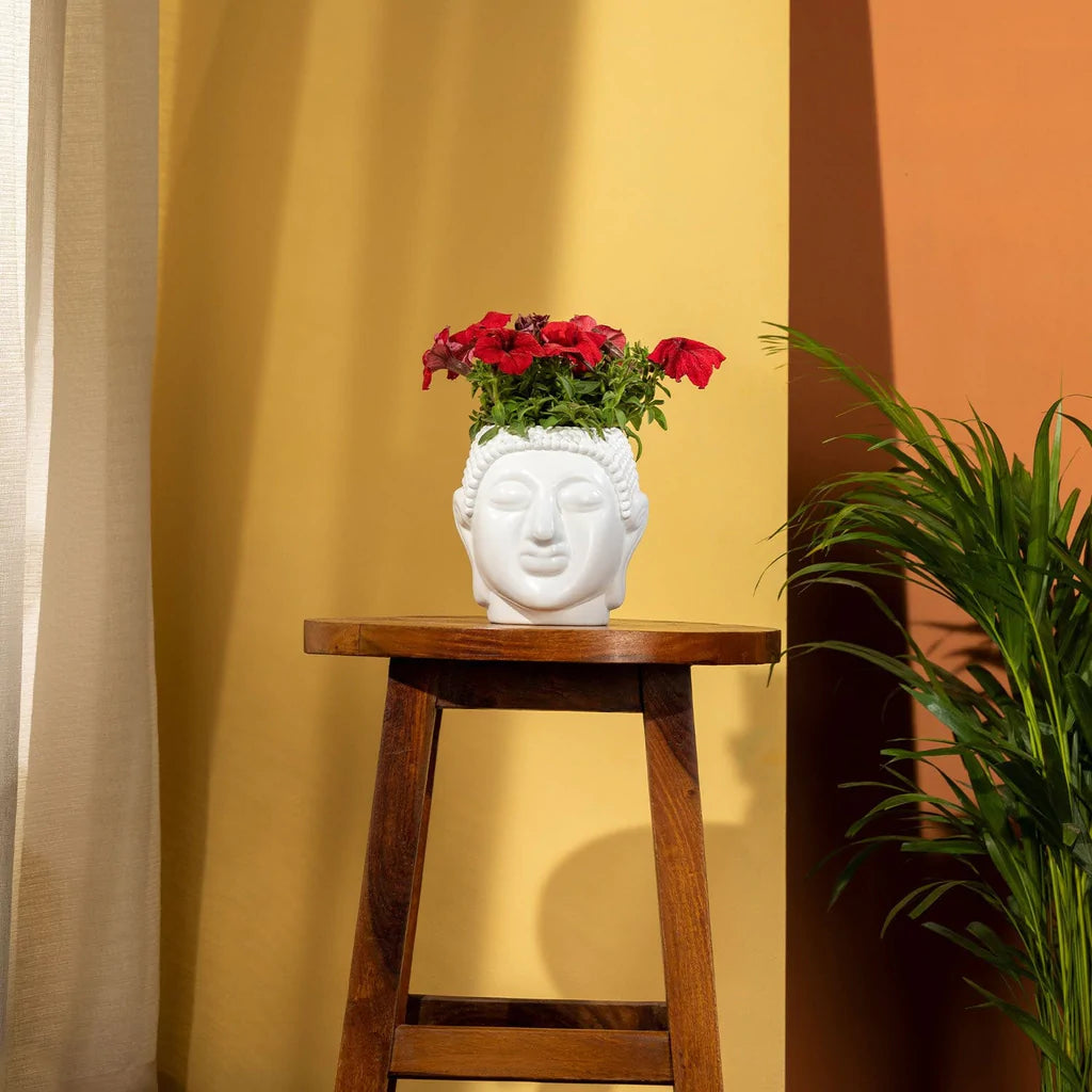 GardenTrails Buddha pot