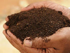 GardenTrails Bone Meal Powder -1 Kg and Enriched Organic Manure -1 Kg