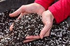 GardenTrails Perlite for Soil Mix- 500 Grams