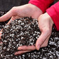 GardenTrails Premium Perlite - 500 grams and Vermiculite 500 grams