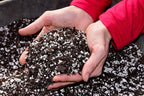 GardenTrails Premium Perlite - 500 grams and Vermiculite 500 grams