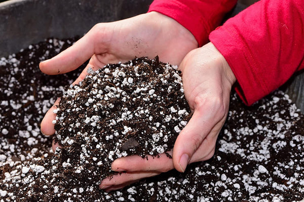 GardenTrails Premium Perlite - 500 grams and Vermiculite 500 grams