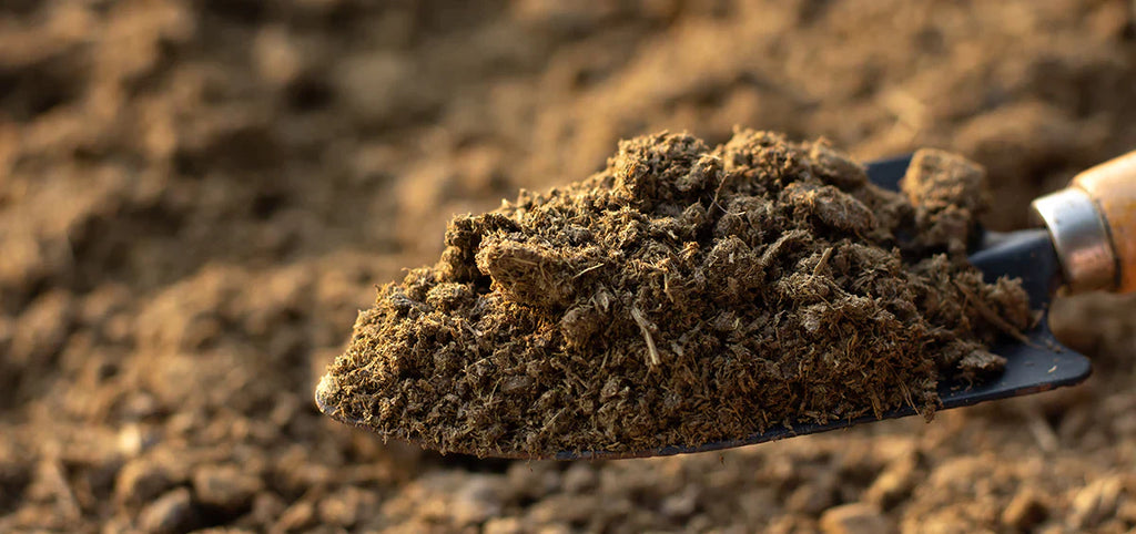 GardenTrails Seed Germination Mix -5 Kg and Organic Cow Manure -5 Kg