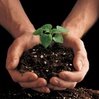 GardenTrails Premium Ready-to-Use Potting Mix – Value Packs