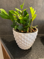 GardenTrails Decorative Diamond Finish Pot 6 Inches - White
