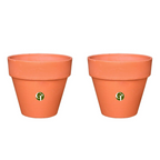 Gardentrails Heavy-Duty Polypropylene Material Flower Planter for Indoor Plants with Matte Finish - Terracotta, 6"
