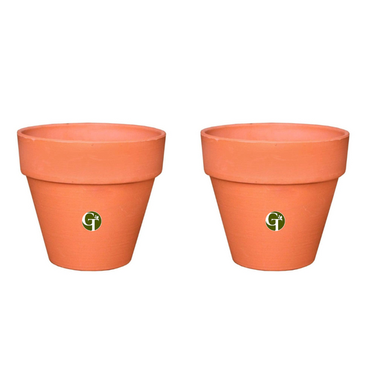 Gardentrails Heavy-Duty Polypropylene Material Flower Planter for Indoor Plants with Matte Finish - Terracotta, 6"