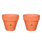 Gardentrails Heavy-Duty Polypropylene Material Flower Planter for Indoor Plants with Matte Finish - Terracotta, 6"