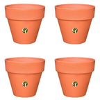 Gardentrails Heavy-Duty Polypropylene Material Flower Planter for Indoor Plants with Matte Finish - Terracotta, 6"