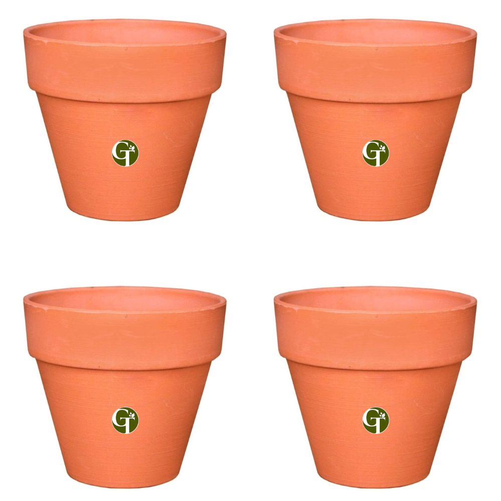 Gardentrails Heavy-Duty Polypropylene Material Flower Planter for Indoor Plants with Matte Finish - Terracotta, 6"