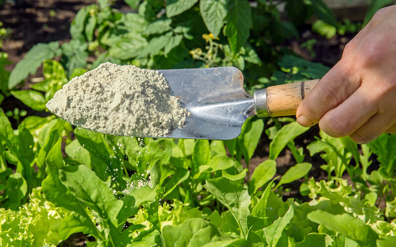GardenTrails Bone Meal Powder -1 Kg and Enriched Organic Manure -1 Kg