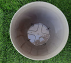 GardenTrails Leafy Plastic Gardening Pot 10 inches - Brown