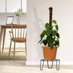 Gardentrails Premium Planter Round Stand