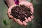 GardenTrails Premium Organic Enriched Vermicompost - 5 Kg
