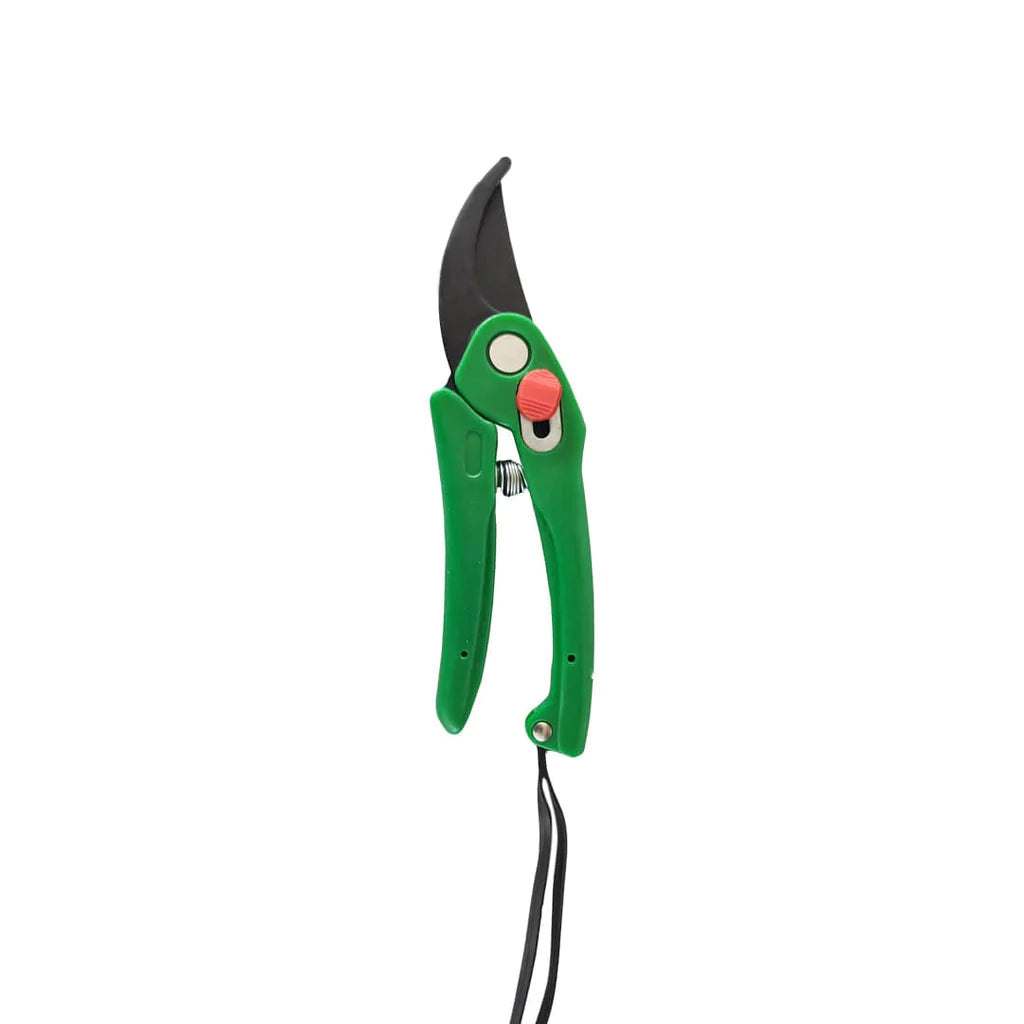 Garden Scissor for Pruning Plants, Premium - Multicolour